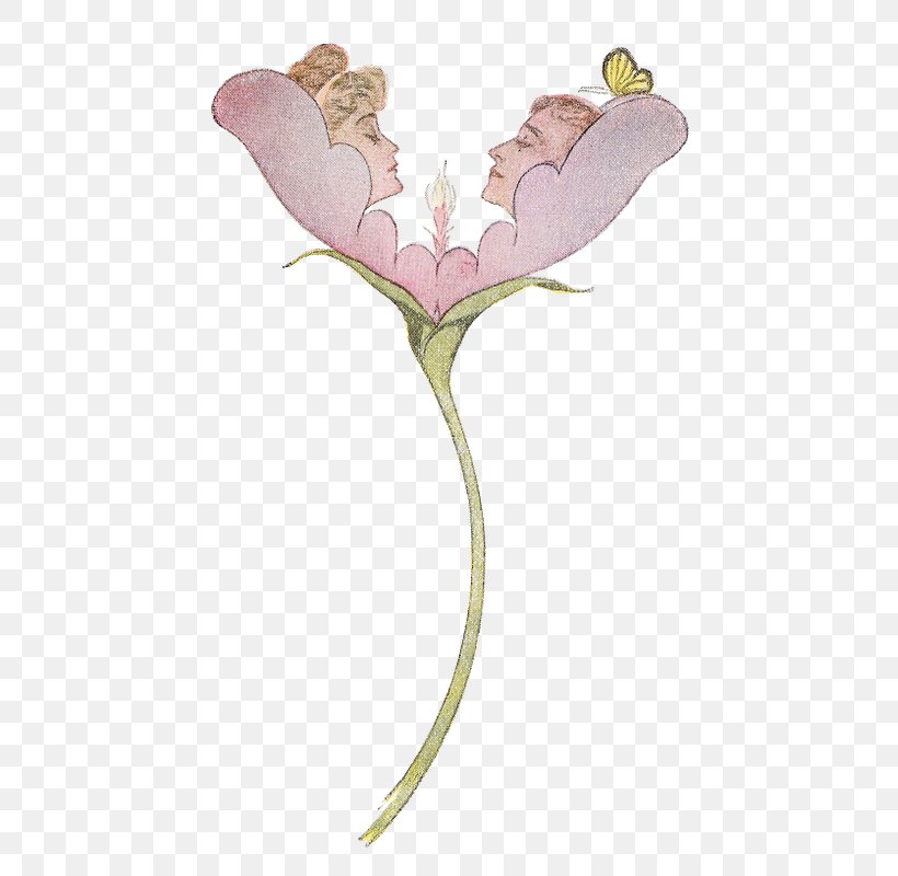 Rose Family Pink M Petal Leaf, PNG, 531x800px, Rose Family, Character, Family, Fiction, Fictional Character Download Free