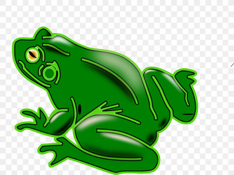 True Frog Tree Frog Clip Art Toad, PNG, 2400x1804px, True Frog, American Green Tree Frog, Amphibian, Animal, Australian Green Tree Frog Download Free