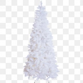Conifer Interior Design - Christmas Tree PNG