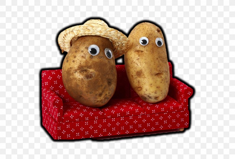 Couch Potato Vichyssoise Sedentary Lifestyle Png 1600x1086px