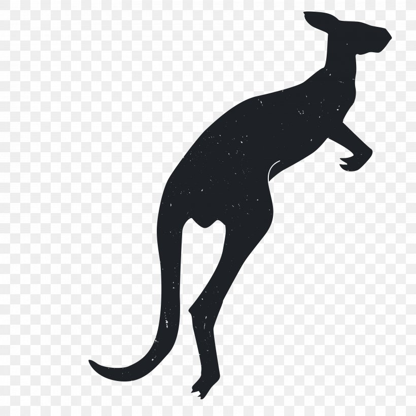 Dog Silhouette Kangaroo Animal, PNG, 3600x3600px, Dog, Animal, Dog Like Mammal, Drawing, Kangaroo Download Free