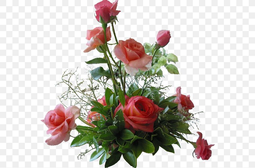 Flower Tysons Tailors Love Friendship Physical Intimacy, PNG, 560x541px, Flower, Altar, Altar Society, Annual Plant, Artificial Flower Download Free