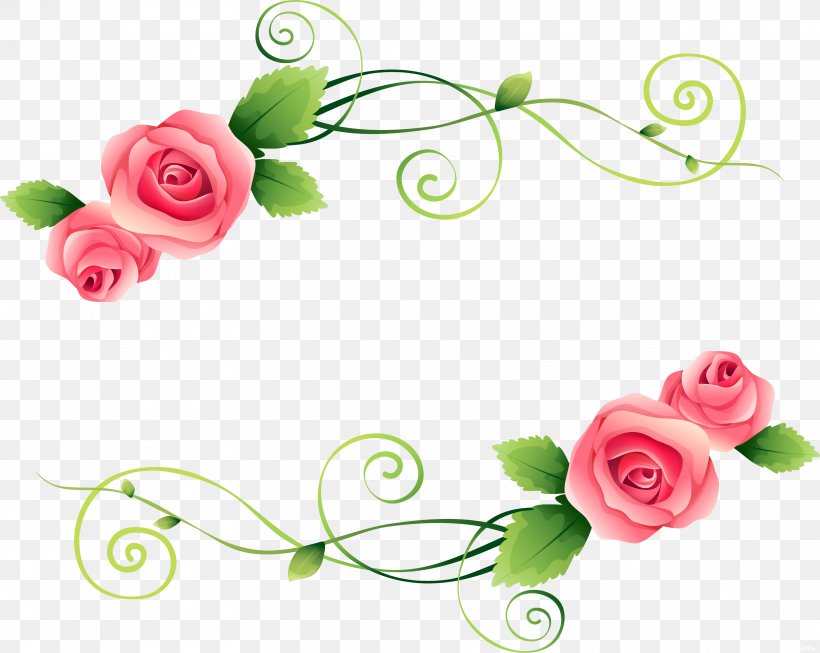 Garden Roses Flower Photography Clip Art, PNG, 3443x2742px, Garden Roses, Artificial Flower, Body Jewelry, Centifolia Roses, Cut Flowers Download Free