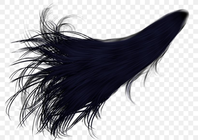 Hair Coloring Ponytail Desktop Wallpaper, PNG, 1024x725px, Hair, Black, Black Hair, Blue Hair, Brown Hair Download Free