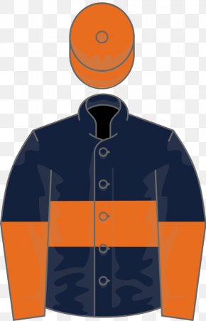 Martin Henderson - Thoroughbred Horse Racing Foal Harbour Law PNG