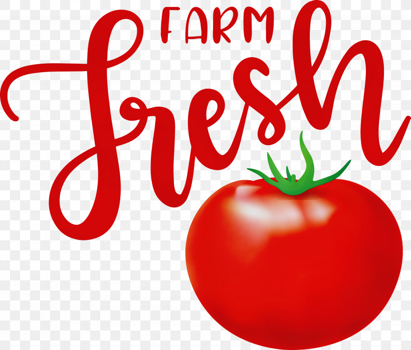 Tomato, PNG, 2999x2557px, Farm Fresh, Apple, Bush Tomato, Datterino Tomato, Farm Download Free