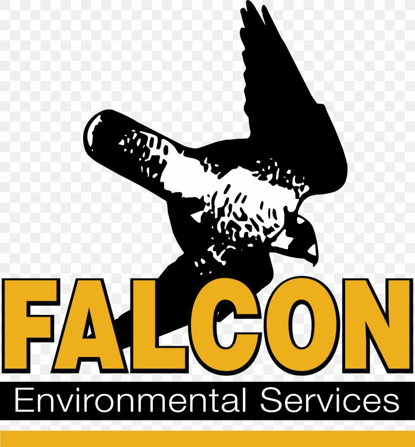 Falcon Bird Natural Environment Wing Environmental Protection, PNG, 1539x1658px, Falcon, Beak, Bird, Bird Control, Bird Strike Download Free