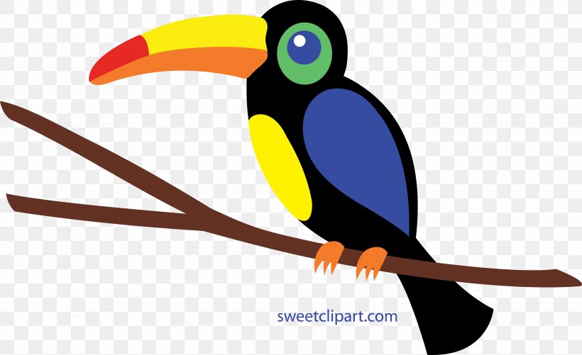 Bird Toucan Clip Art, PNG, 6000x3669px, Bird, Beak, Emerald Toucanet, Hornbill, Piciformes Download Free