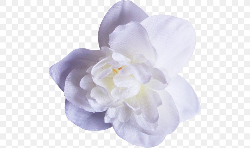 Flower, PNG, 500x488px, Flower, Flowering Plant, Gardenia, Lilac, Moth Orchid Download Free
