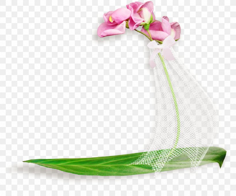 Flower Text Picture Frames, PNG, 1235x1024px, Flower, Bookmark, Cut Flowers, Floral Design, Petal Download Free