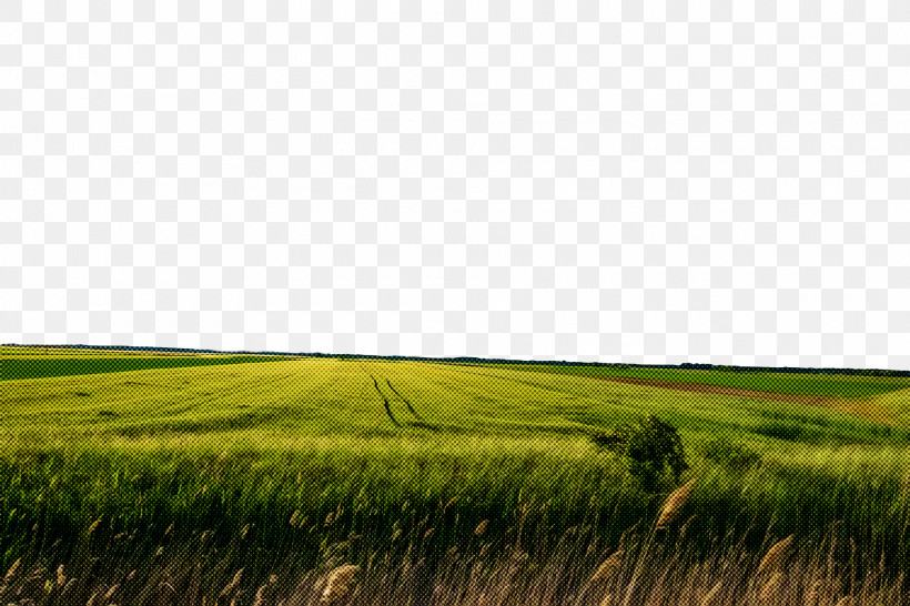 Grassland Steppe Vegetation Shrubland Ecoregion, PNG, 1920x1280px, Grassland, Ecoregion, Energy, Farm, Land Lot Download Free