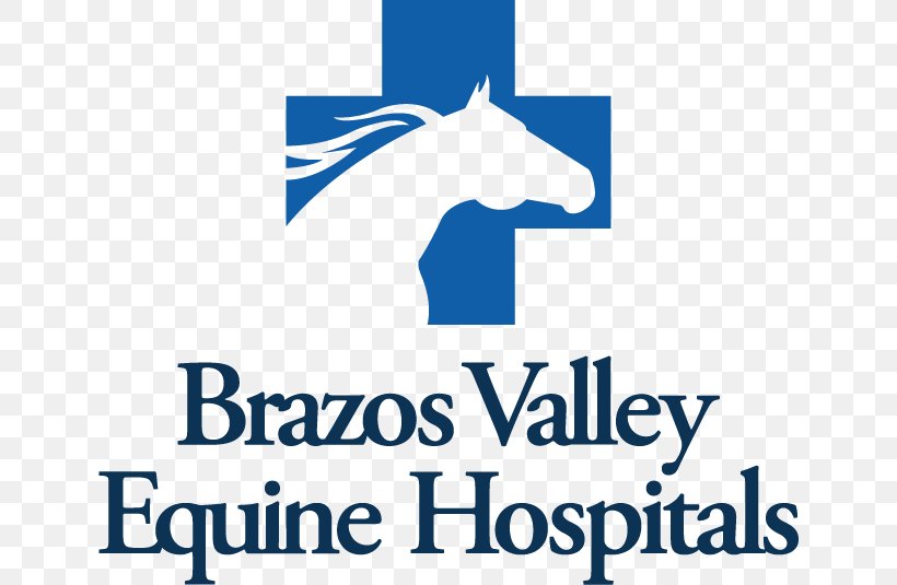 Horse Brazos Valley Equine Hospital Brazos County Mare Veterinarian, PNG, 640x535px, Horse, Area, Barrel Racing, Brand, Brazos County Download Free