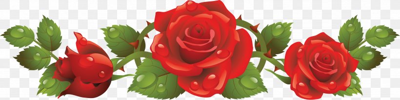 Rose Red Clip Art, PNG, 4731x1187px, Rose, Bud, Cut Flowers, Floral Design, Floristry Download Free