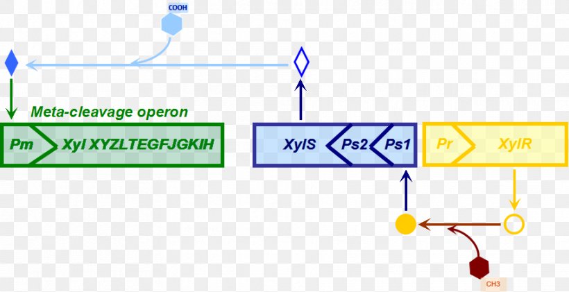 Brand Line Organization Point, PNG, 908x467px, Brand, Area, Diagram, Microsoft Azure, Organization Download Free