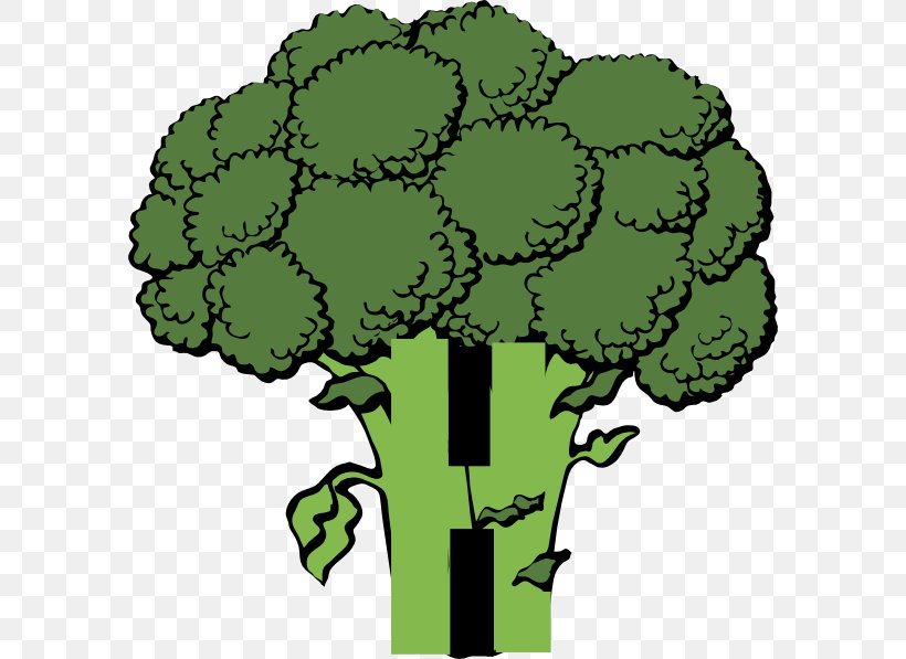 Broccoli Vegetable Clip Art, PNG, 588x597px, Broccoli, Cartoon, Drawing, Flower, Food Download Free