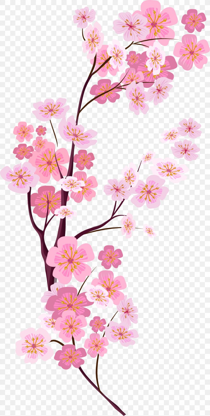 Cherry Blossom Euclidean Vector, PNG, 958x1896px, Cherry Blossom, Blossom, Branch, Cherry, Flora Download Free