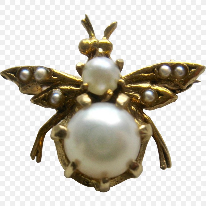 Insect Brooch Jewellery Clothing Accessories Pollinator, PNG, 1232x1232px, Insect, Brooch, Clothing Accessories, Fashion, Fashion Accessory Download Free