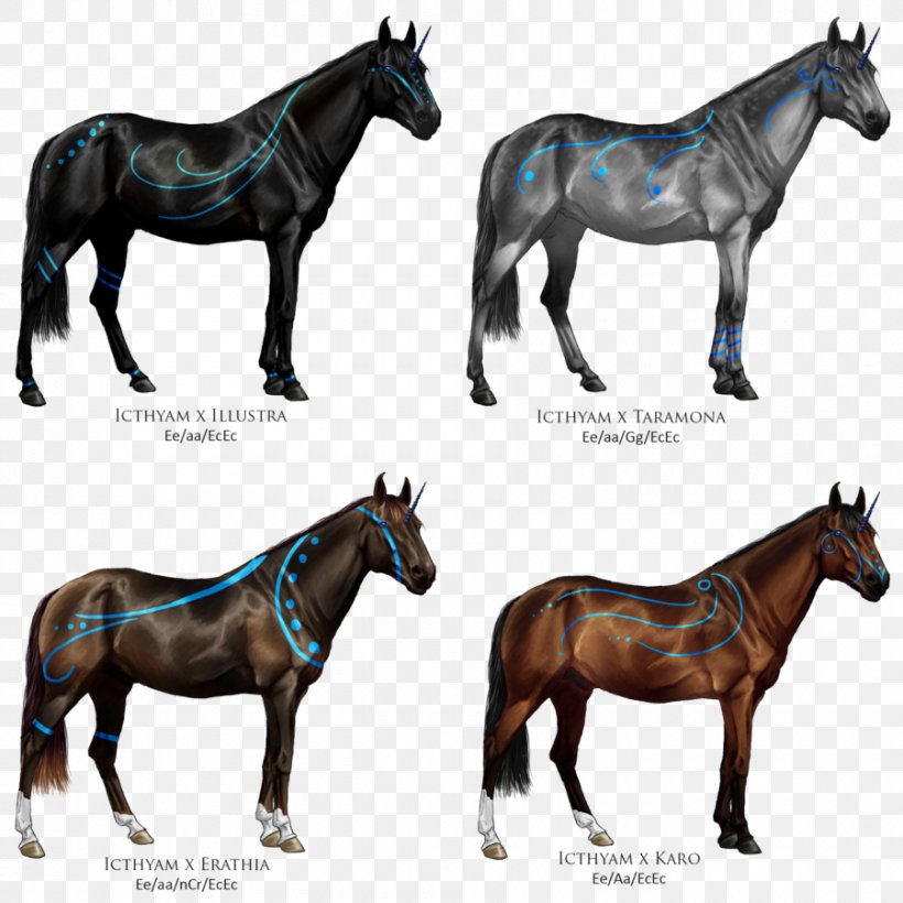 Mule Horse Coloring Book, PNG, 900x900px, Mule, Book, Bridle, Child, Color Download Free