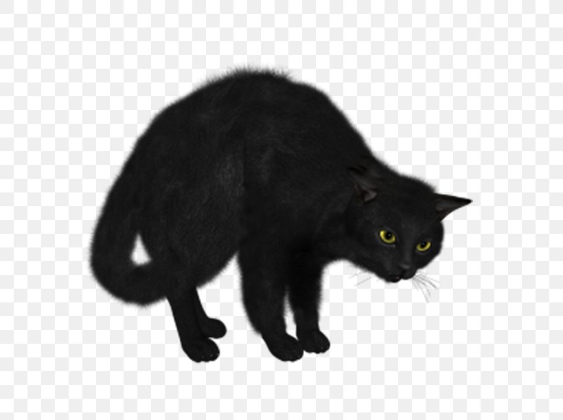 Norwegian Forest Cat Kitten Black Cat Clip Art, PNG, 600x611px, Norwegian Forest Cat, Asian Semi Longhair, Black, Black Cat, Bombay Download Free