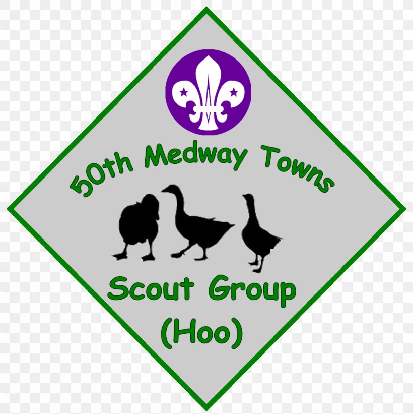 Scouting World Scout Jamboree World Organization Of The Scout Movement Cub Scout Explorer Scouts, PNG, 1011x1013px, Scouting, Area, Badge, Beavers, Bird Download Free