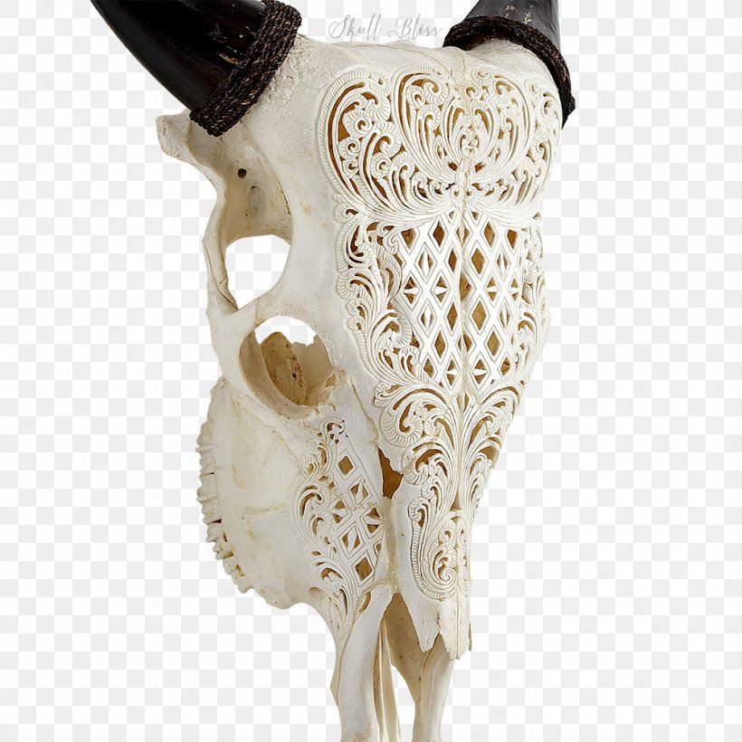 Cattle Bone Skull Horn, PNG, 1000x1000px, Cattle, Animal, Bone, Centimeter, Flower Download Free