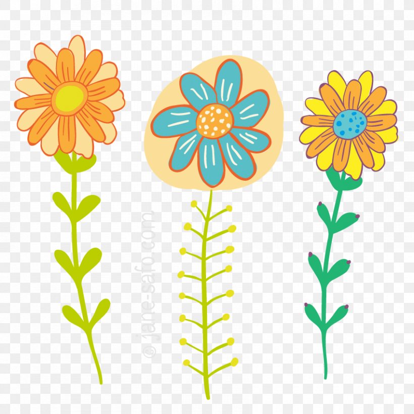 Chrysanthemum Oxeye Daisy Clip Art, PNG, 850x850px, Chrysanthemum, Chrysanths, Cut Flowers, Daisy, Daisy Family Download Free