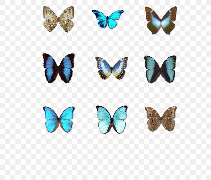 Download ICO Icon, PNG, 700x700px, Ico, Biological Specimen, Butterfly, Email, Insect Download Free