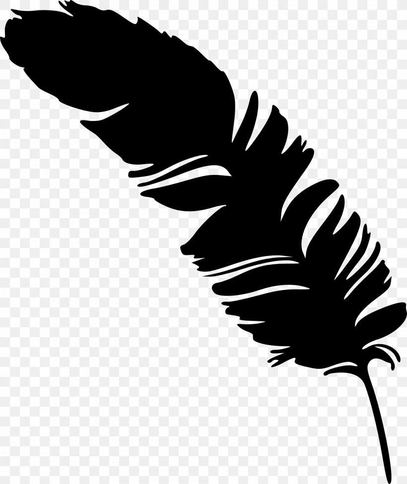 Feather Silhouette Photography, PNG, 1988x2367px, Feather, Artwork, Beak, Black, Black And White Download Free