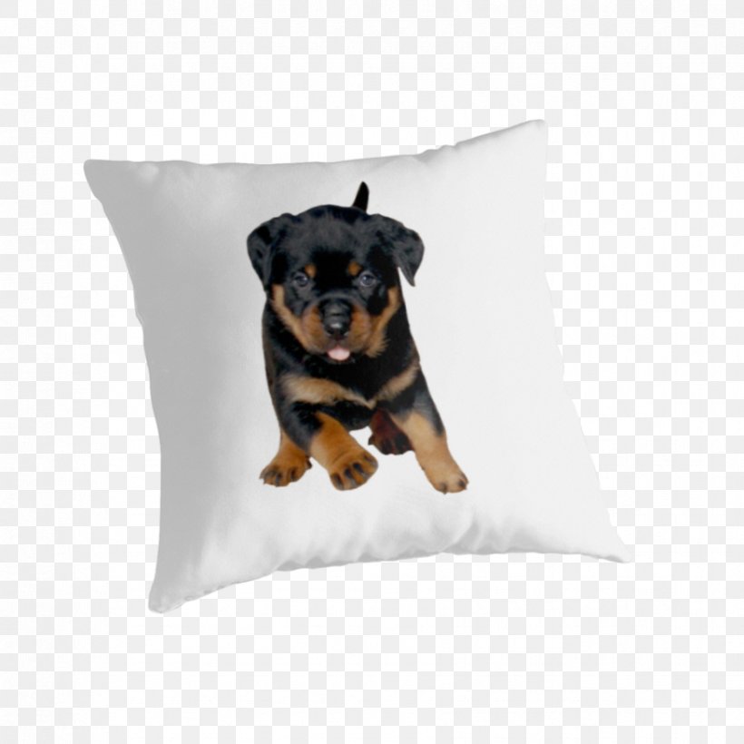 Rottweiler Puppy Hoodie Dog Breed T-shirt, PNG, 875x875px, Rottweiler, Breed, Carnivoran, Cushion, Cuteness Download Free
