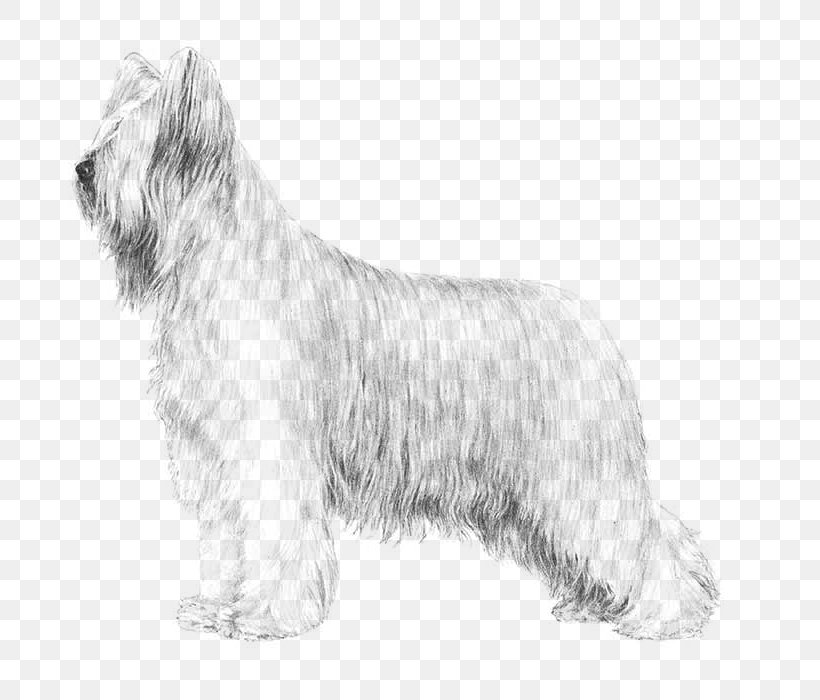Skye Terrier Glen Briard Cesky Terrier Tibetan Terrier, PNG, 700x700px, Skye Terrier, American Kennel Club, Bearded Collie, Black And White, Bread Pan Download Free