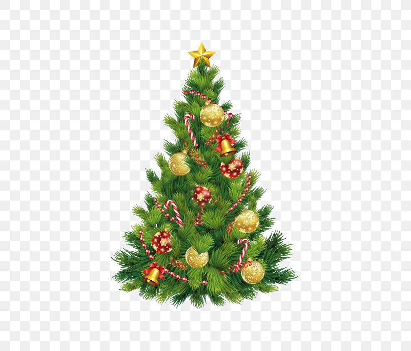 Christmas Tree Easter Bunny, PNG, 700x700px, Christmas Tree, Christmas, Christmas Decoration, Christmas Ornament, Conifer Download Free