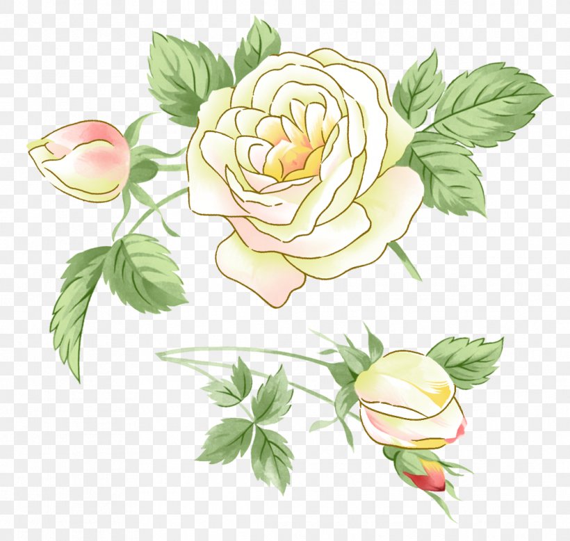 Garden Roses Flower Clip Art, PNG, 1065x1011px, Garden Roses, Branch, Centifolia Roses, Cut Flowers, Drawing Download Free