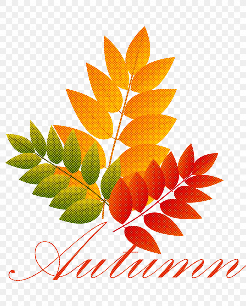 Hello Autumn Welcome Autumn Hello Fall, PNG, 2417x2999px, Hello Autumn, Cartoon, Drawing, Hello Fall, Line Art Download Free