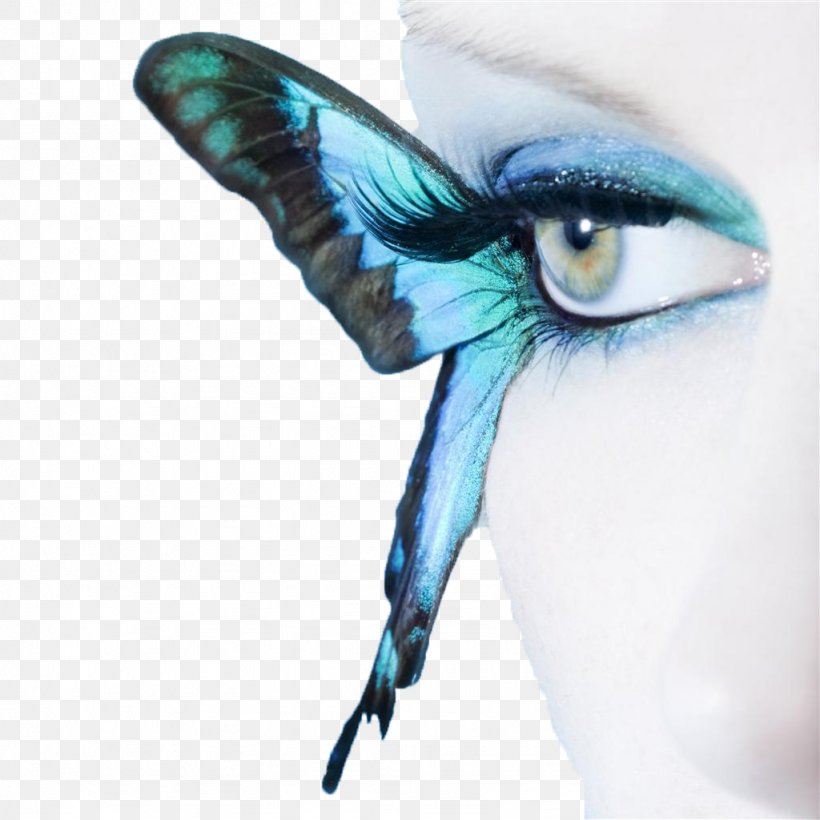 Butterfly Blue Eye Stock Photography Cosmetics, PNG, 1024x1024px, Butterfly, Beak, Bird, Blue, Color Download Free