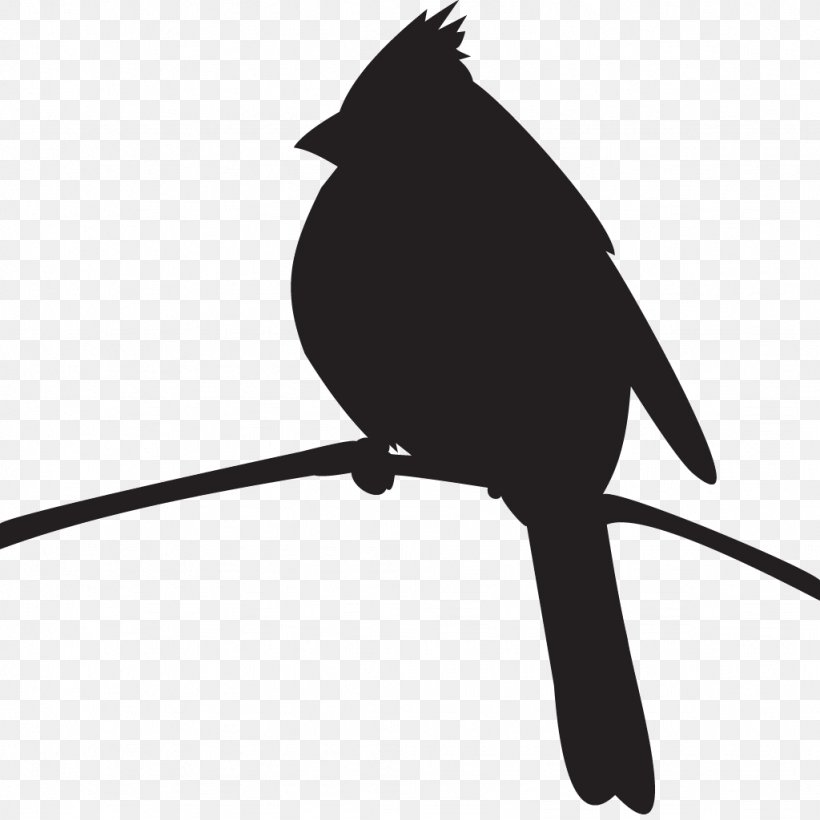 Cornell Lab Of Ornithology Bird Northern Cardinal Pyrrhuloxia Silhouette, PNG, 1024x1024px, Cornell Lab Of Ornithology, All About Birds, Beak, Bird, Black And White Download Free