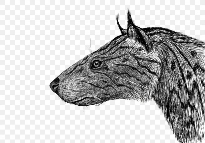 Miacidae Drawing Rat Cat Mammal, PNG, 1280x896px, Drawing, Blackandwhite, Carnivores, Cat, Dog Download Free