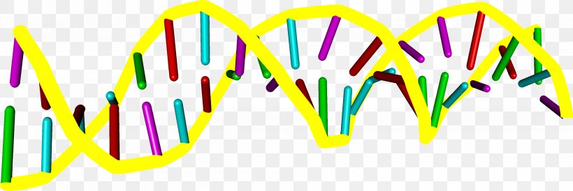 Nucleic Acid Double Helix DNA Drawing Sine Wave, PNG, 3982x1331px, Nucleic Acid Double Helix, Alpha Helix, Art, Dna, Drawing Download Free