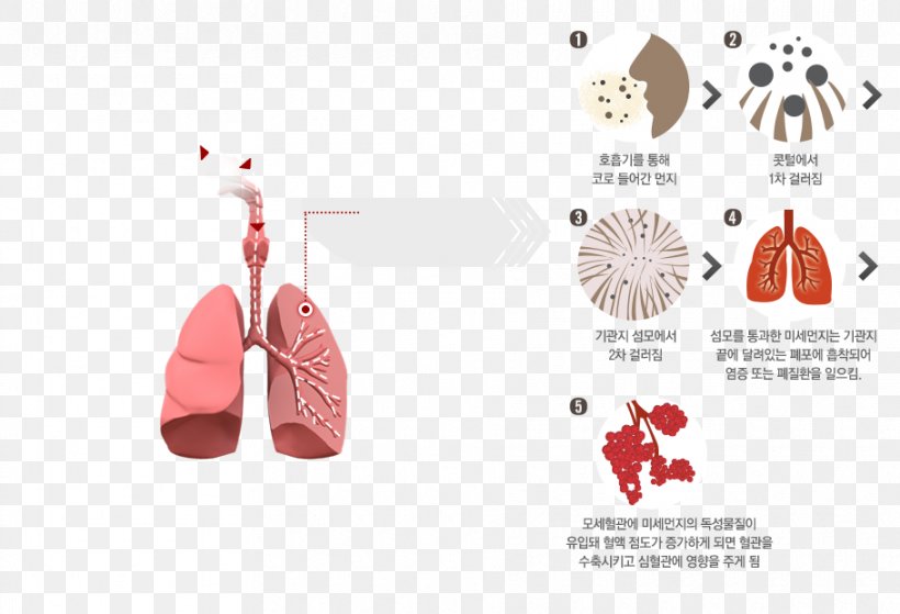 Particulates Asian Dust PM10 PM2,5, PNG, 910x621px, Watercolor, Cartoon, Flower, Frame, Heart Download Free