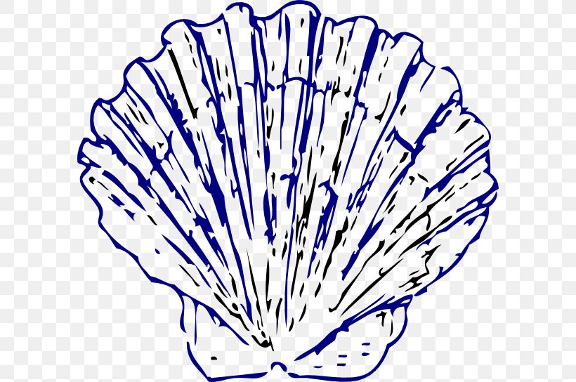 Seashell Blue Clip Art, PNG, 600x544px, Seashell, Artwork, Black And White, Blue, Bluegreen Download Free