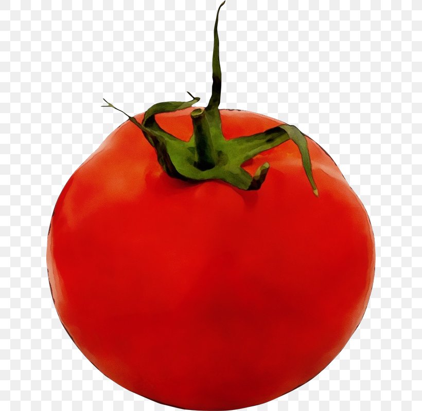 Tomato, PNG, 640x800px, Watercolor, Food, Fruit, Natural Foods, Nightshade Family Download Free