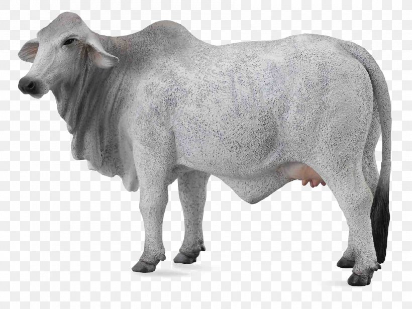 Brahman Cattle Ankole-Watusi Hereford Cattle Braunvieh Murray Grey Cattle, PNG, 1800x1352px, Brahman Cattle, Animal Figure, Ankolewatusi, Braunvieh, Bull Download Free