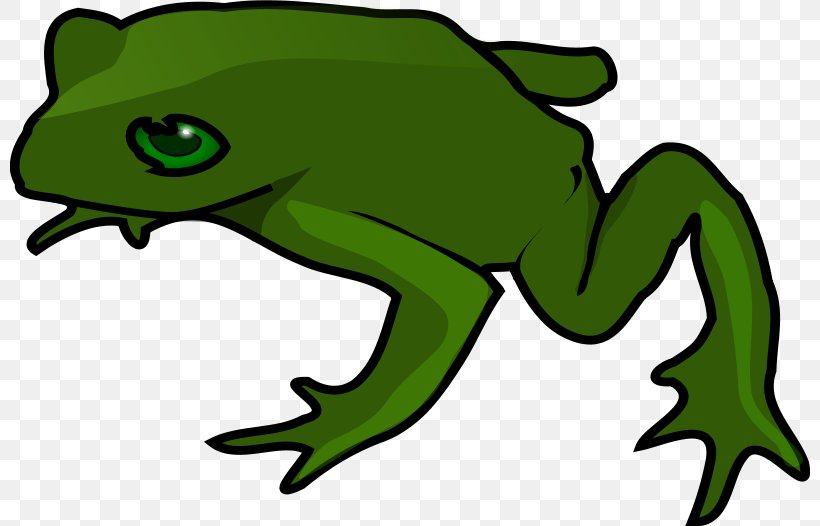 Kermit The Frog Clip Art, PNG, 800x526px, Kermit The Frog, Amphibian, Animal Figure, Animation, Artwork Download Free