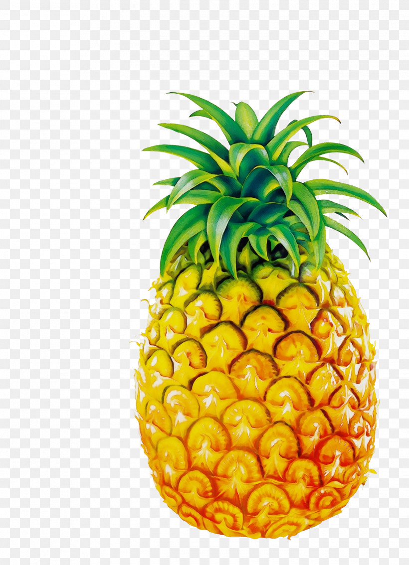 Pineapple, PNG, 1344x1860px, Watercolor, Earring, Fruit, Jewellery, Juice Download Free