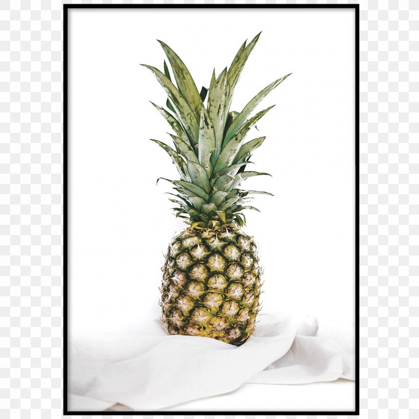 Pineapple Juice Pineapple Juice Food Fruit, PNG, 1200x1200px, Pineapple, Ananas, Apple, Bromeliaceae, Chiquita Brands International Download Free