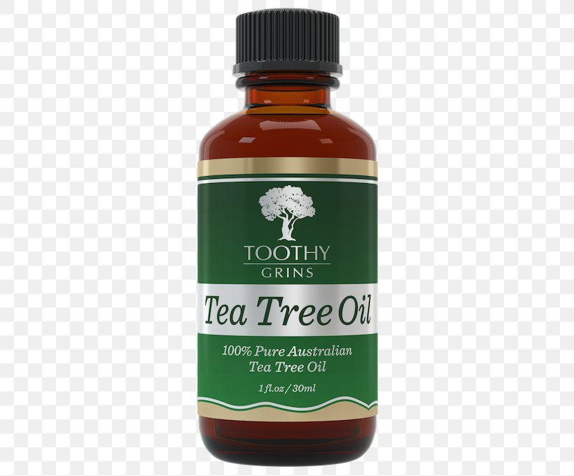 Tea Tree Oil Narrow-leaved Paperbark Tea Plant, PNG, 405x681px, Tea, Aromatherapy, Australia, Essential Oil, Food Download Free