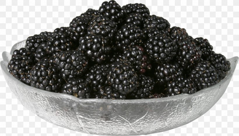 Auglis Mxfbre Mulberry Clip Art, PNG, 1024x586px, Auglis, Berry, Black And White, Blackberry, Caviar Download Free