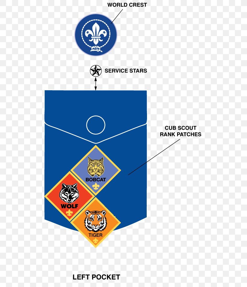 Cub Scouting Ranks In The Boy Scouts Of America, PNG, 526x954px, Cub Scouting, Area, Badge, Boy Scouts Of America, Brand Download Free