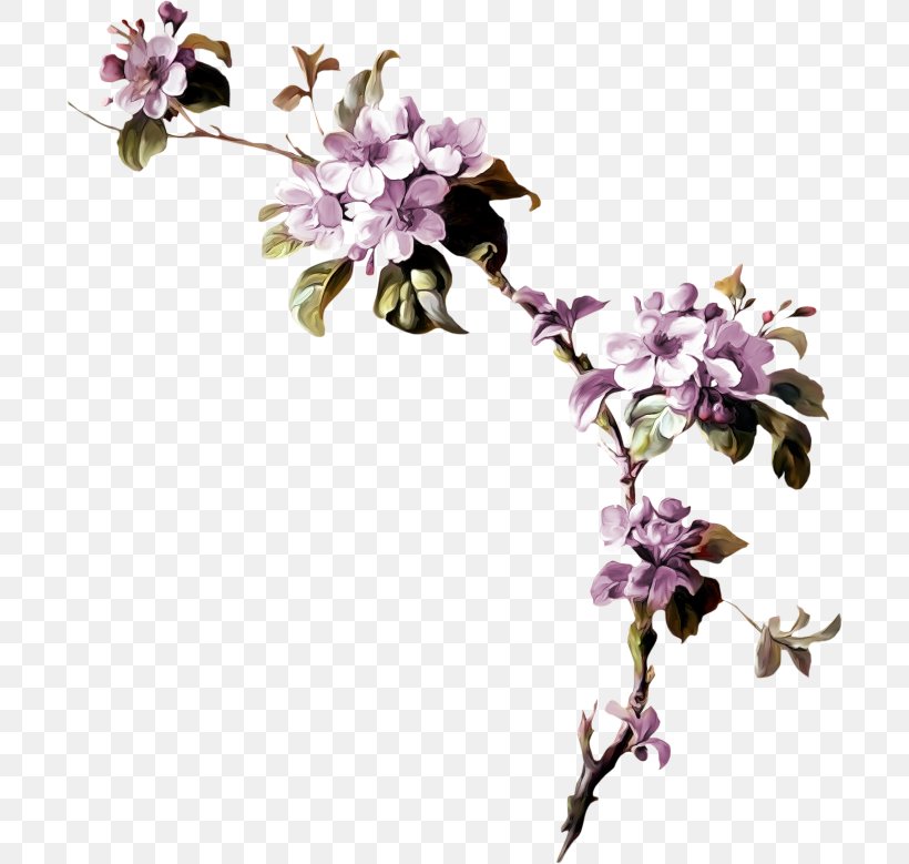 Flower Blossom Clip Art, PNG, 700x779px, Flower, Blossom, Branch, Cherry Blossom, Cut Flowers Download Free