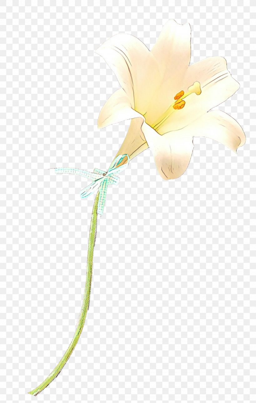 Moth Orchids Cut Flowers Plant Stem Herbaceous Plant, PNG, 2141x3364px, Moth Orchids, Botany, Cut Flowers, Flower, Flowering Plant Download Free