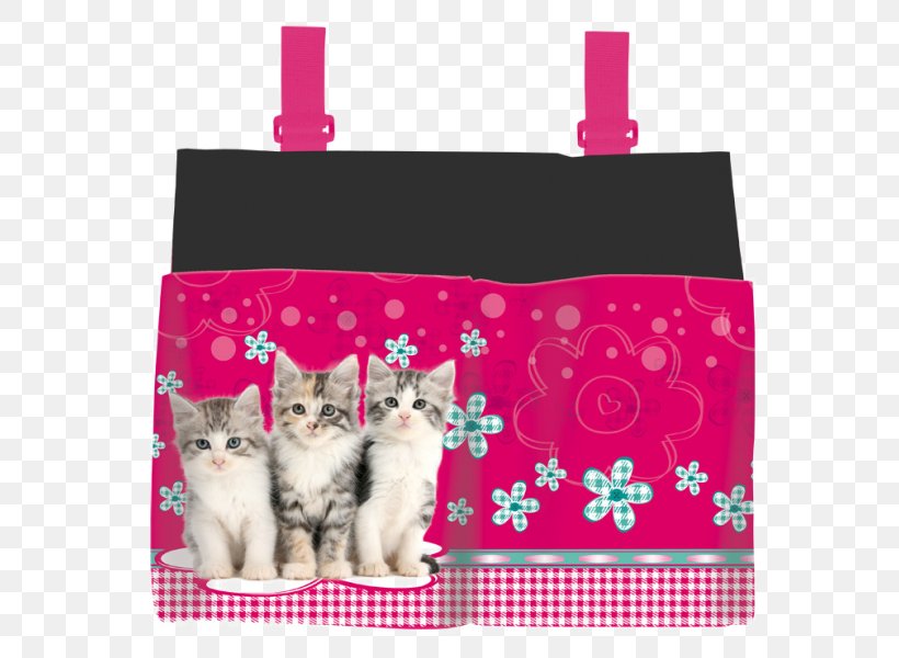 Pen & Pencil Cases Cat School Kapsář Briefcase, PNG, 650x600px, Pen Pencil Cases, Biano, Briefcase, Cat, Cat Like Mammal Download Free